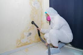 Mold Remediation for Rental Properties in Spanish Fork, UT